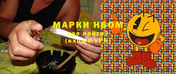 гашик Вяземский