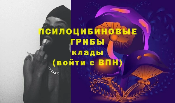 ECSTASY Инсар