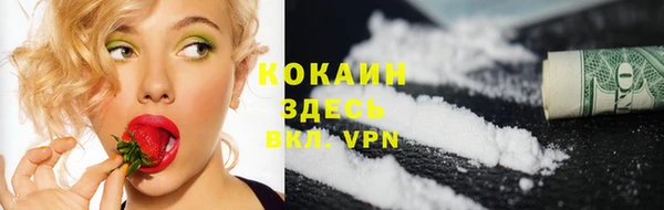 первитин Няндома