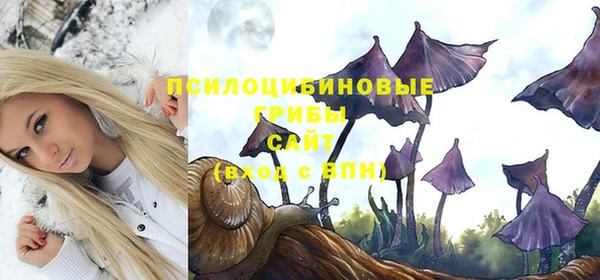 прущая мука Янаул