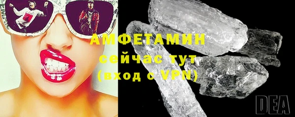 индика Нижний Тагил