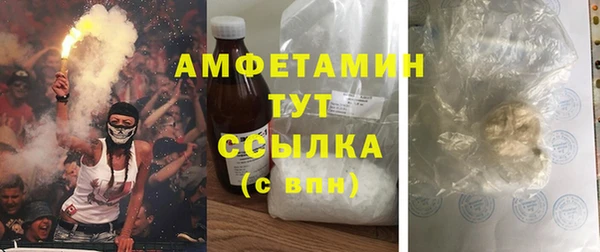 первитин Няндома